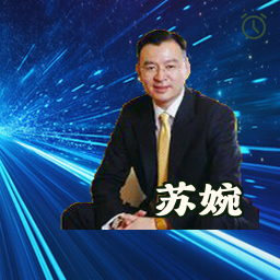 苏婉